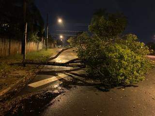 Calor, estragos e preju&iacute;zo que chega a R$ 4 mil &eacute; cen&aacute;rio depois do temporal