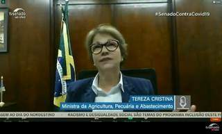 Ministra Tereza Cristina durante reunião virtual de comissão (Foto: Reprodução)
