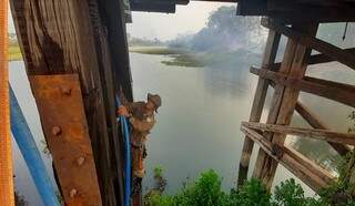 Pescadores ajudam bombeiros a evitar que fogo destruísse ponte na Estrada Parque Pescadores ajudam bombeiros a evitar que fogo destruísse ponte na Estrada Parque