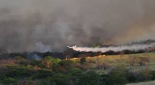 Aviões são essenciais para grandes queimadas, no combate ao fogo alto (Foto/Divulgação)