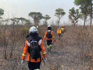 Bombeiros caminham por área destruída pelo fogo no Pantanal (Foto: Chico Ribeiro)