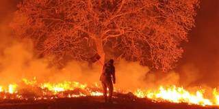 Homem tenta conter o fogo sozinho no Pantanal (Foto: Divulgação)