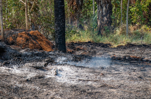 &quot;Sempre colocam fogo&quot;, diz moradora sobre inc&ecirc;ndio no Rita Vieira