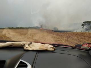  Bois morrem e 30 hectares de reserva s&atilde;o destru&iacute;das ap&oacute;s raio provocar inc&ecirc;ndio