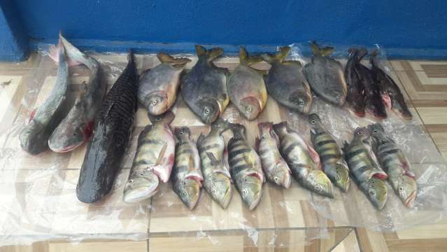 Quatro empres&aacute;rios de SC s&atilde;o presos por pesca ilegal no norte de MS