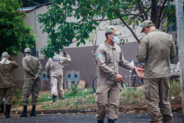 Dois s&atilde;o atacados por abelhas enquanto limpavam casa
