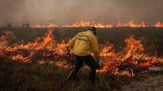 Brigadista do Ibama combate incêndio na Amazônia, em 2019. (Foto: Vinicius Mendonça/Ibama)