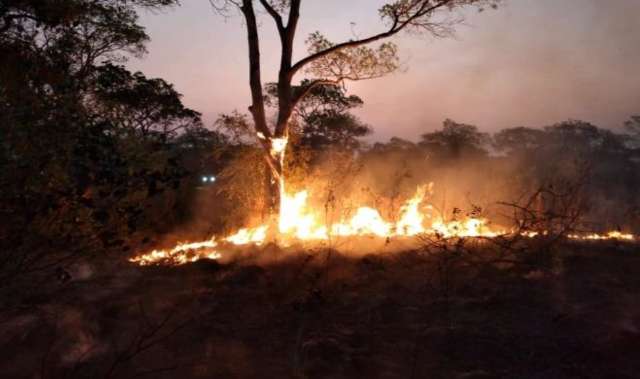 Fogo j&aacute; consumiu 4,1 milh&otilde;es de hectares do Pantanal, o mesmo que 27% do bioma