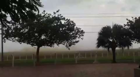 Velocidade do vento em Campo Grande passa dos 80 km/h e derruba árvores
