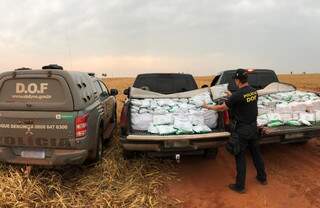 Policial do DOF mostra pacotes de agrotóxico contrabandeado (Foto: Divulgação)