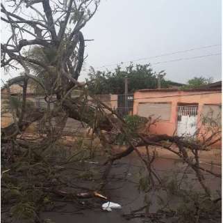 Durante chuva, pelo menos 6 bairros ficam no escuro 