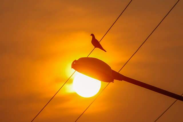 Sol aparece, mas previs&atilde;o &eacute; de pancadas de chuvas em todas as regi&otilde;es de MS