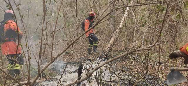Chove no Pantanal nesta tarde e esperan&ccedil;a &eacute; reduzir focos de inc&ecirc;ndio 
