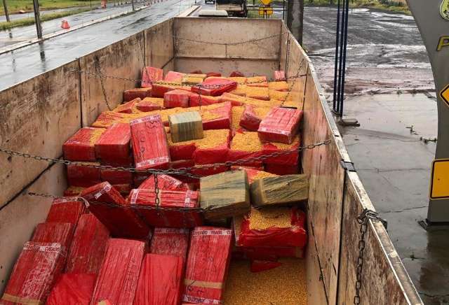 Motorista do tr&aacute;fico &eacute; preso com 11 toneladas de maconha em carga de milho
