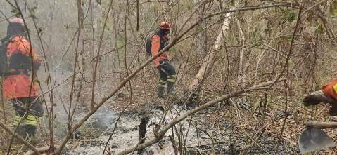 Chove no Pantanal nesta tarde e esperan&ccedil;a &eacute; reduzir focos de inc&ecirc;ndio 