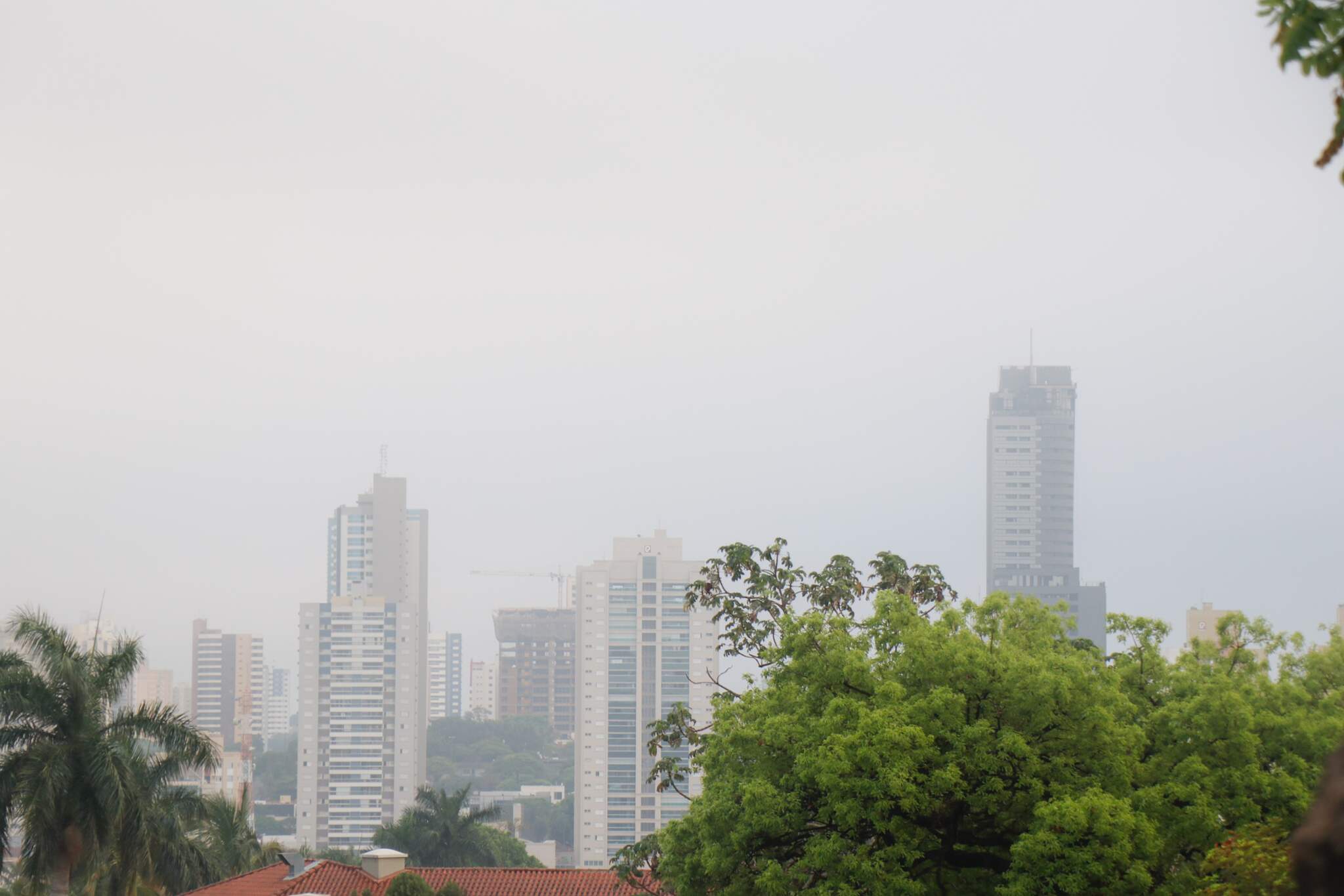 Dia amanhece com chuva, neblina e friozinho nos quatro cantos de MS - Meio  Ambiente - Campo Grande News