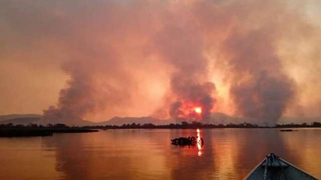 Cidades com mais gado lideram focos de inc&ecirc;ndio, aponta estudo