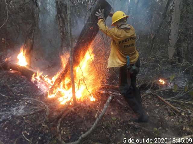 Em dois meses, &aacute;rea de combate a inc&ecirc;ndios do Ibama tem terceira chefia