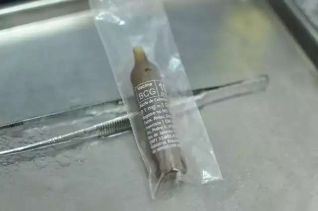 Testes com vacina BCG contra a covid-19 come&ccedil;am na segunda-feira