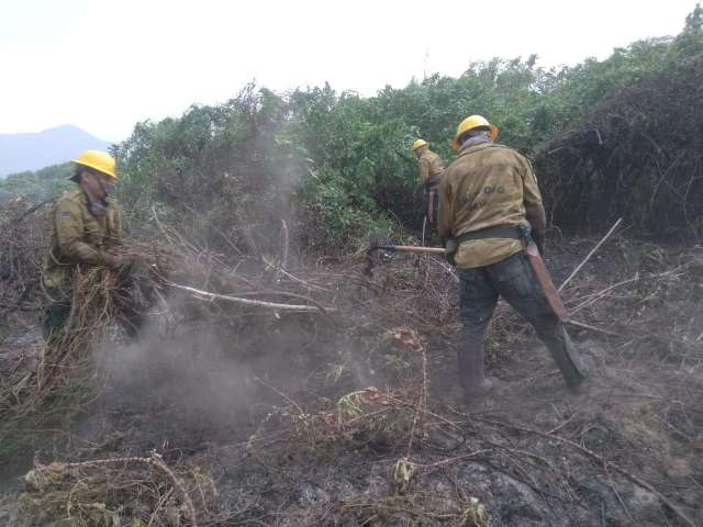 Governo do MS quer montar brigada permanente no Pantanal