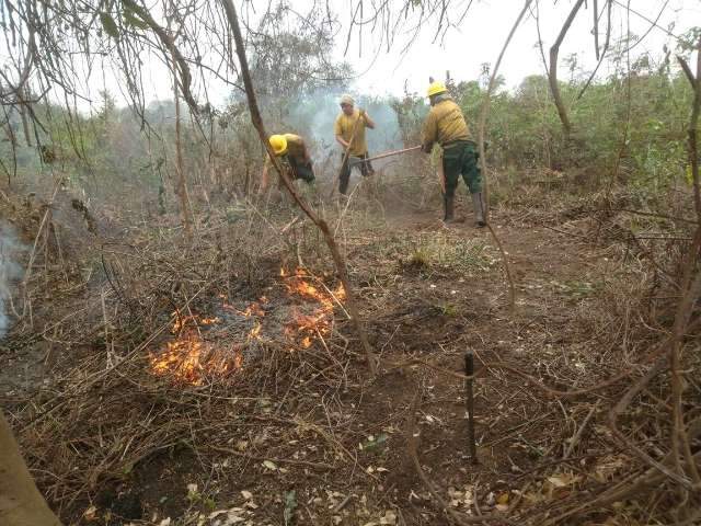 Depois de chuva, cai para 35 n&uacute;mero de focos de fogo no Pantanal, 14 em Corumb&aacute; 