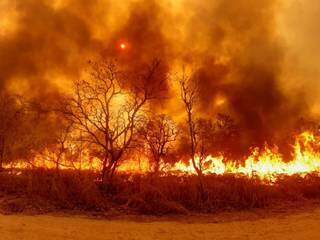 Bioma teve 27% de todo seu território atingido pelo fogo em 2020. (Foto: PrevFogo)