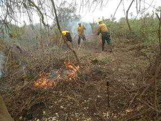 Brigadistas do Prevfogo combatendo fogo no Pantanal, em Corumbá, sob pingos de chuva. (Foto: Ecoa)