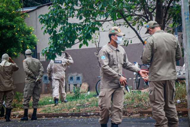 Ap&oacute;s morte em MS, bombeiros alertam sobre aumento de ataques de abelhas