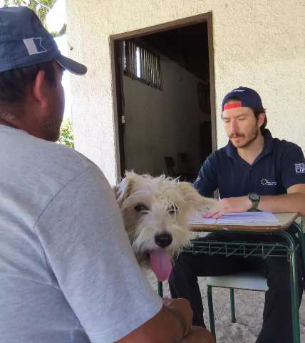 Pesquisa em MS ir&aacute; coletar amostras de 100 c&atilde;es e gatos para rastrear a covid-19