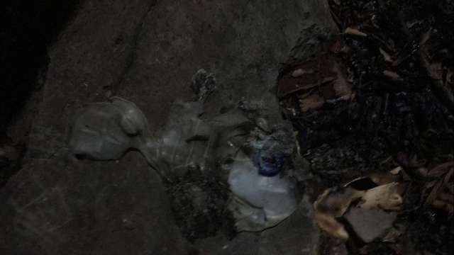 Bomba caseira &eacute; deixada em frente &agrave; casa, explode e fere pitbull