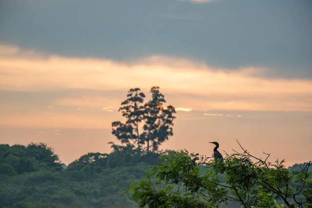 Dia amanhece com c&eacute;u aberto, mas previs&atilde;o &eacute; para pancadas de chuvas 