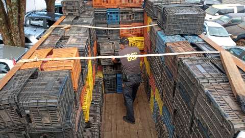 Polícia encontra 2,8 mil quilos de maconha em caminhão com caixas vazias