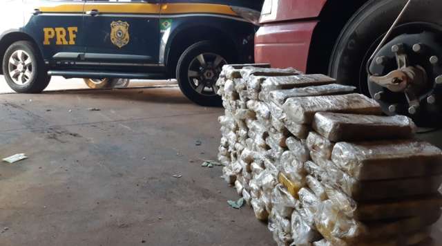 3&ordf; apreens&atilde;o milion&aacute;ria do dia tem 129 kg de coca&iacute;na em carreta 