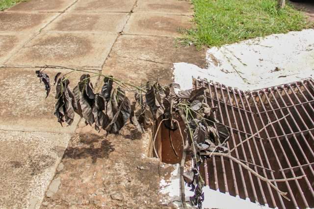 Buracos e perigos: TJ ordena acessibilidade em cal&ccedil;adas do Parque dos Poderes 