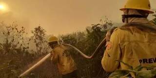Brigadistas durante combate a incêndios no Pantanal. (Foto: Divulgação | Ibama)