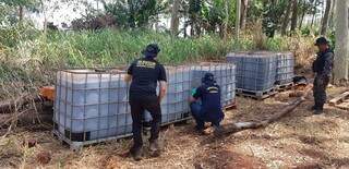 5.236 litros de defensivos agricolas foram apreendidos na operação conjunta. Foto: (Divulgação/ Ministério da Agricultura)
