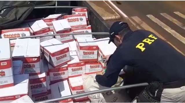 Caminhoneiro &eacute; preso transportando 1,5 tonelada de agrot&oacute;xicos contrabandeados