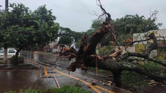 Temporal deixa Centro e 35 bairros sem energia; prefeitura decreta emerg&ecirc;ncia