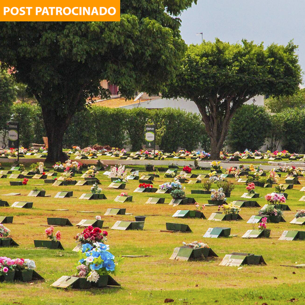 Cemitério Memorial Park Realiza Dia Da Saudade Para Famílias Conteúdo