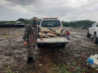 Polícia Militar Ambiental apreendeu 314 quilos de peixe. (Foto: Divulgação/PMA)