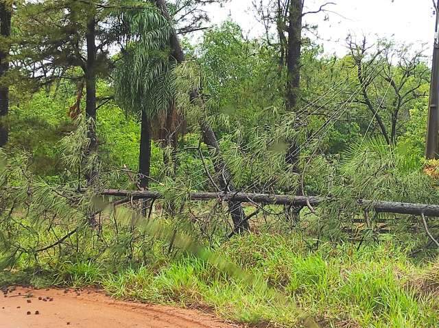 Com falta de energia recorrente, produtores procuram Agepan e pedem &quot;socorro&quot;