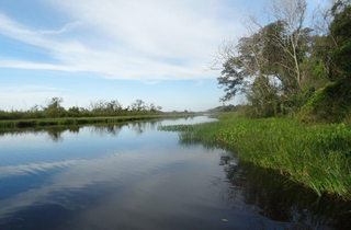 O Rio Ivinhema pertence ao Parque Estadual Das Várzeas do Rio Ivinhema, uma Unidade de Conservação (Foto: divulgação / Imasul)