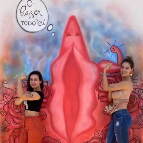 Vagina na parede pode render processo a sex shop