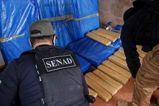 Agentes da Senad no cômodo onde estavam os tabletes de maconha (Foto: Divulgação)