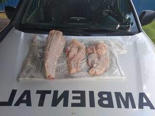 Três pedaços de carne somaram 7 kg e estavam guardados em um saco. (Foto: PMA)