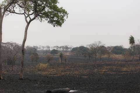 Pantanal e Amazônia registram recorde de queimadas em outubro