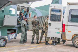 Animais chegam na Base Aérea de Campo Grande. (Foto: Silas Lima)