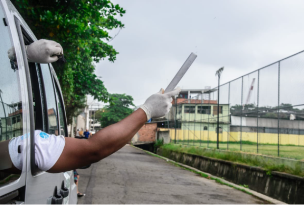 Soltura de mosquitos com bact&eacute;ria que impede dengue come&ccedil;a em dezembro