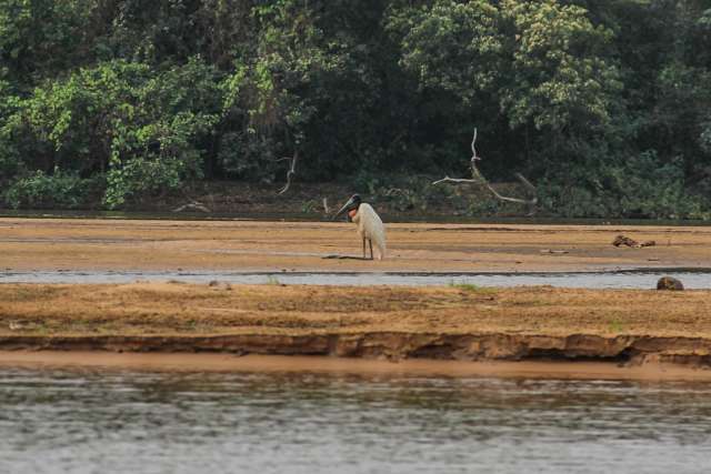 Governo quer programa de revitaliza&ccedil;&atilde;o de bacia do Rio Taquari ainda este ano