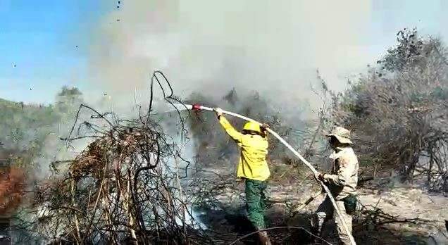 V&iacute;deos mostram combate ao fogo em regi&atilde;o de dif&iacute;cil acesso na Serra do Amolar 